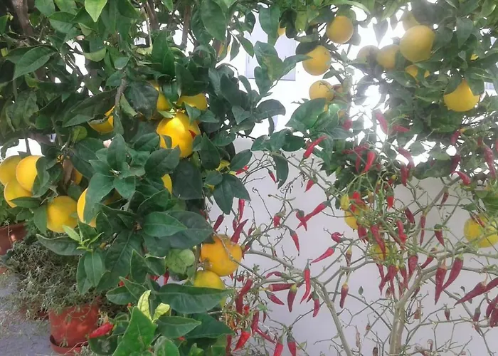 Matilda Milos - Cycladic Living Appartamento Triovasálos