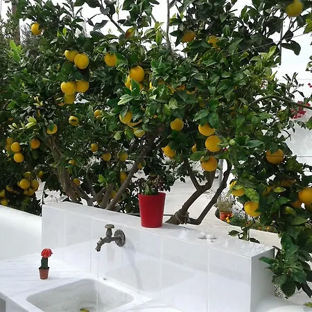 Matilda Milos - Cycladic Living Апартаменты Triovasalos