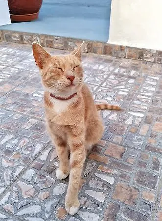 Matilda Milos - Cycladic Living Apartment