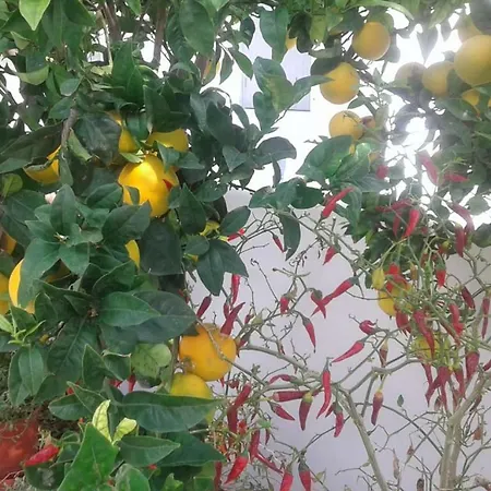 Matilda Milos - Cycladic Living Апартаменты Triovasalos