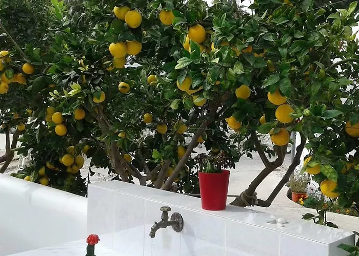 Matilda Milos - Cycladic Living Apartament *